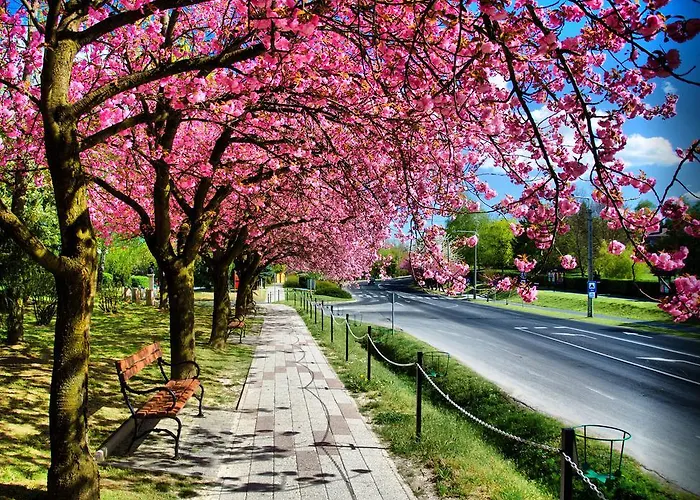 Lägenhet Zala Zalakaros